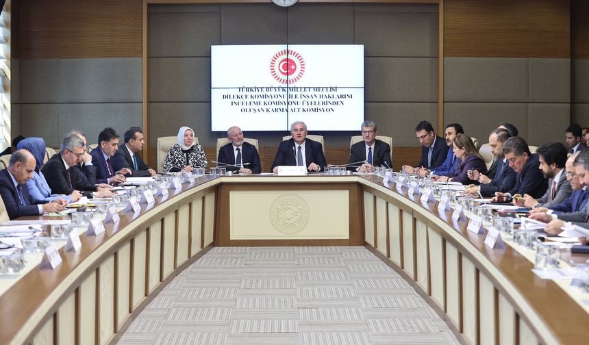 Akarca: Tavsiye kararlarımızın yerine getirilmesi hukuk devletinin ilkesinin gereğidir