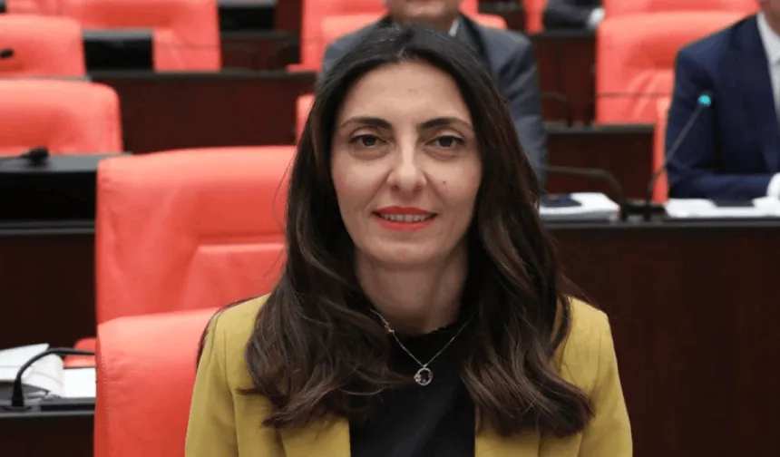 CHP’li Kayışoğlu: “Kara incir üreticileri ciddi zararda”