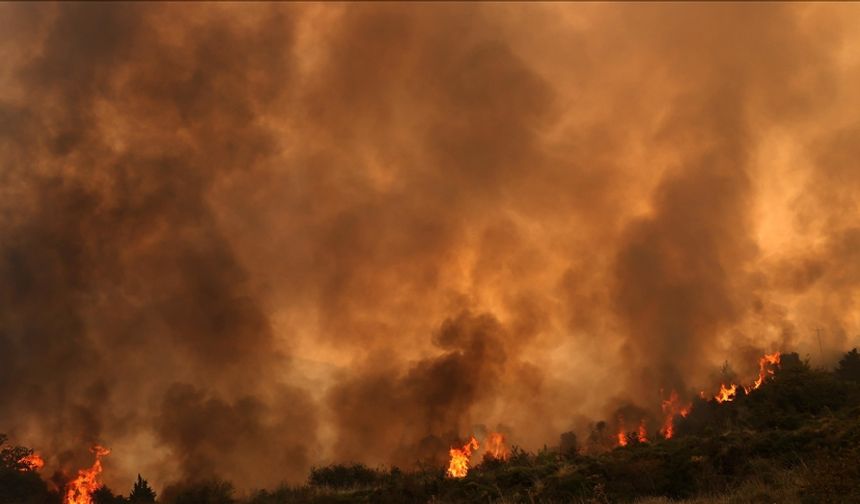 Yunanistan'ın Zakinthos Adası'nda orman yangını çıktı