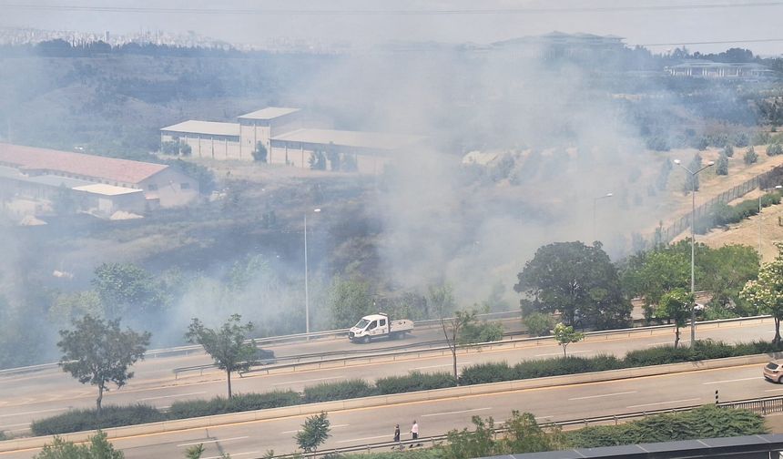 Ankara'da AOÇ arazisinde örtü yangını