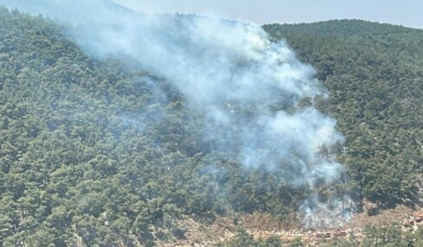 Manisa'daki orman yangını 4 saatte söndürüldü