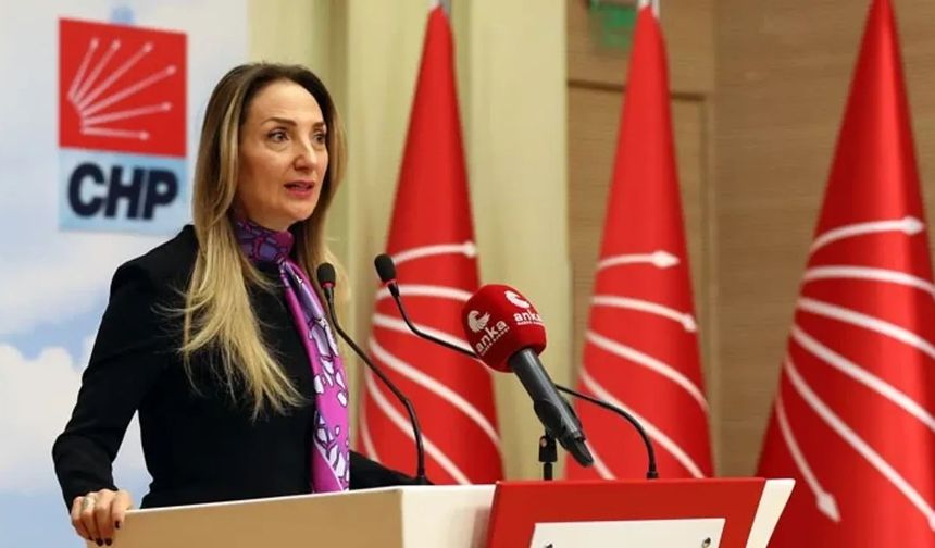 "Atayman'a yapılan muamele insan onuruna yönelik bir saldırı"