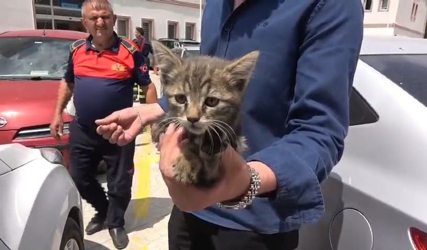 Otomobilin motoruna sıkışan yavru kedi kurtarıldı