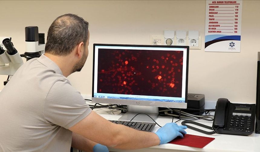 Bilim insanları, Alzheimer hastalığını kan tahliliyle erken teşhis için çalışıyor