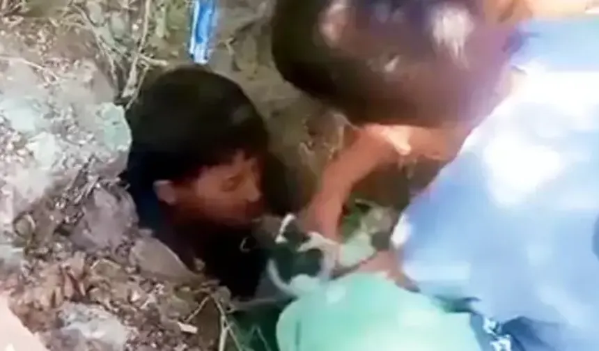 Mahsur kalan kediyi çocuklar kurtardı