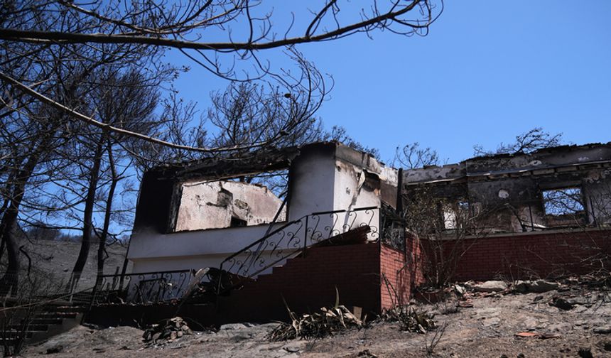 Menderes ve Seferihisar'da yanan ormanlardan geriye siyah örtü kaldı