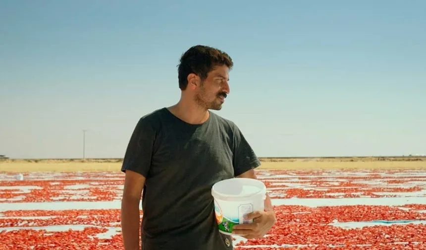 Türkiye'nin Oscar adayı 'Hemme'nin Öldüğü Günlerden Biri'
