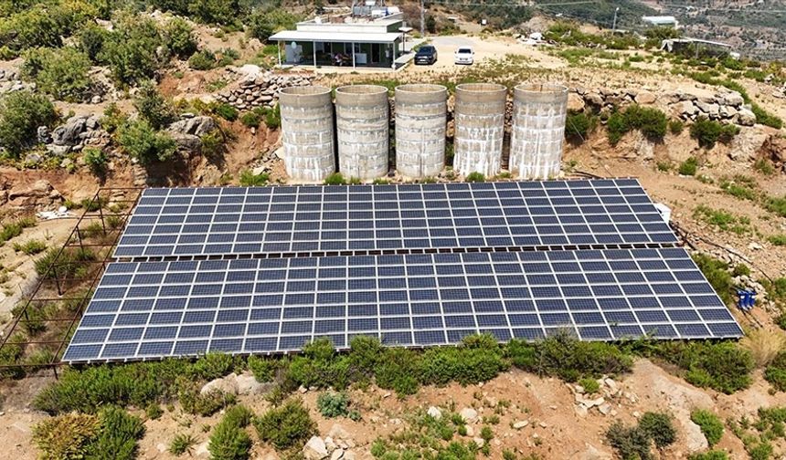 Antalya'da tropikal meyve bahçelerine kurulan GES enerji maliyetlerini düşürdü