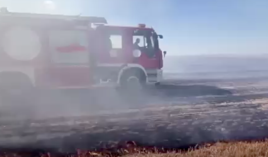 Anız yangını çiftliklere ulaşmadan kontrol altına alındı