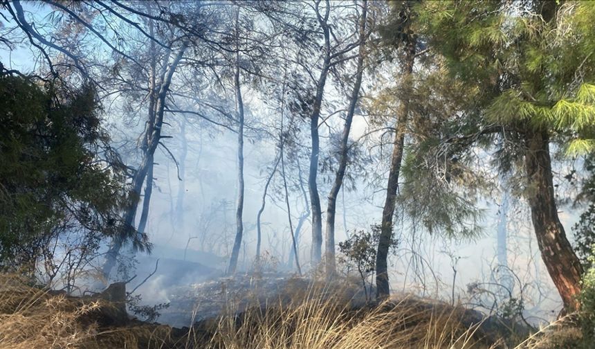 Manavgat'ta tarım arazisinde başlayan yangın ormanlık alana sıçradı