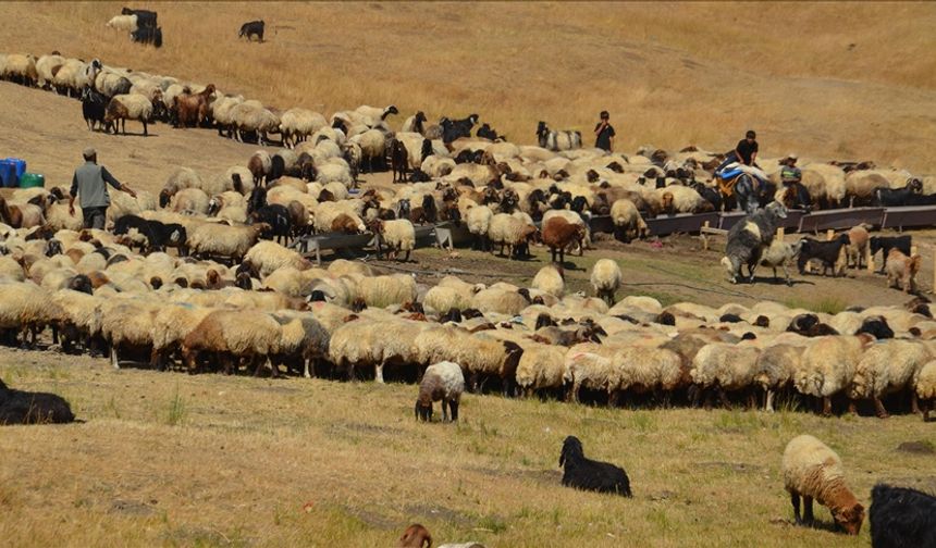 Havanın soğumasıyla yaylacıların dönüş yolculuğu başladı