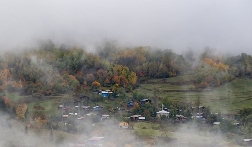 "Sakin şehir" Şavşat'ta sonbahar rengarenk