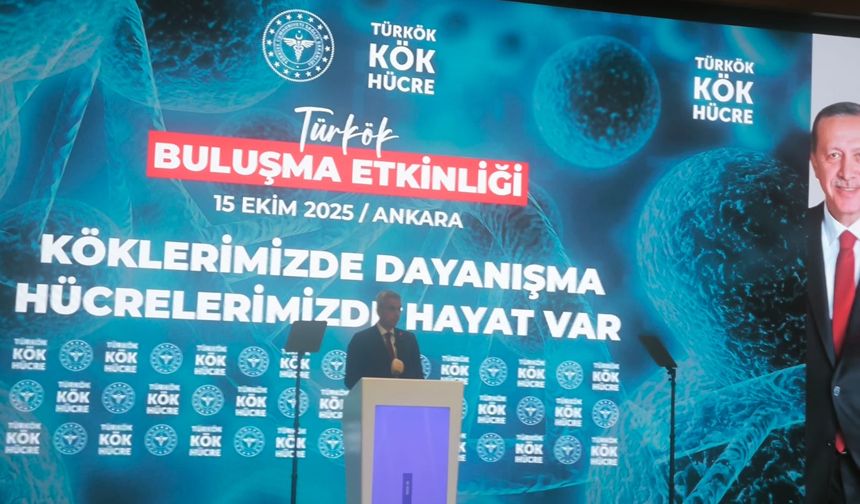 Türkökle 7 bin 500 hastaya kök hücre sağlandı