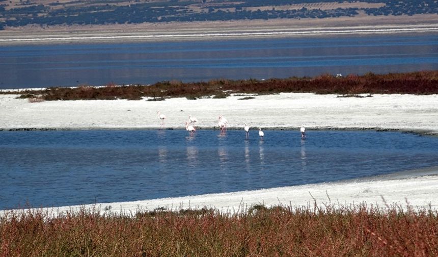 Prof. Dr. Gülle: Bundan sonra bütün göller küçülme trendinde