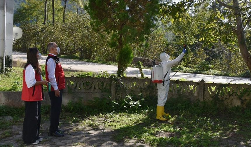 Tarım ve Orman Bakanlığının kahverengi kokarca zararlısına karşı mücadelesi sürüyor
