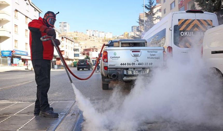 Çankaya’da dört mevsim haşere ile mücadele