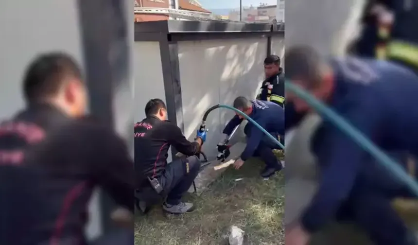 Osmaniye’de konteyner altında mahsur kalan yavru kedi kurtarıldı