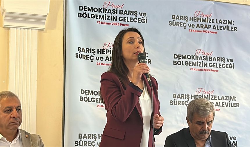 Hatimoğulları: CHP'nin İmralı'ya gitmesini çok önemsiyoruz