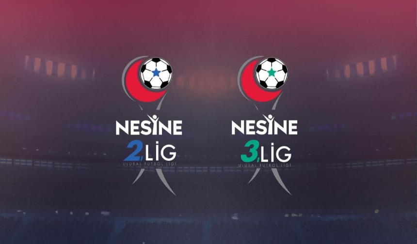 Nesine 2. Lig ve Nesine 3. Lig'e 2 hafta ara verildi