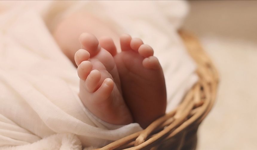 Türkiye'de geçen yıl 121 bin 67 bebek hayata erken başladı