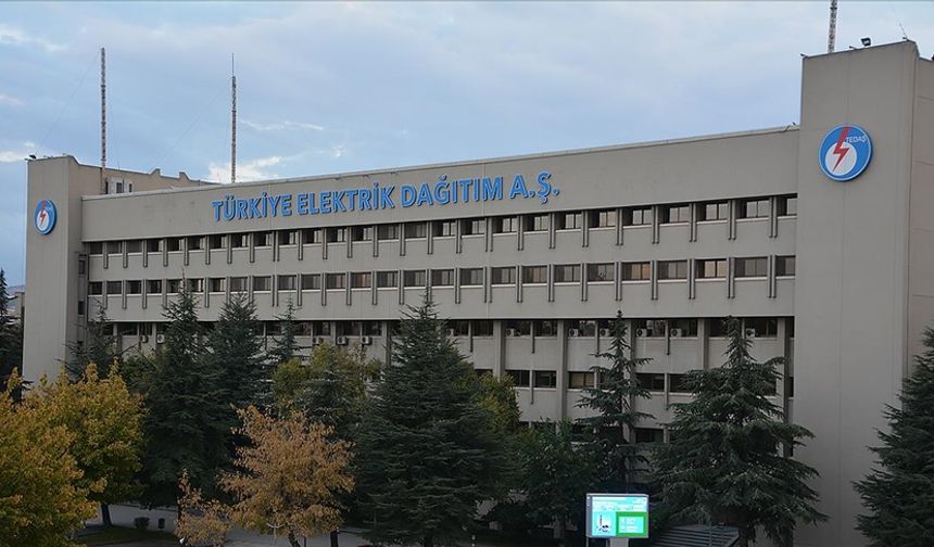 TEDAŞ'ın Canlı Hat Bakım Projesi için ihale süreci başladı