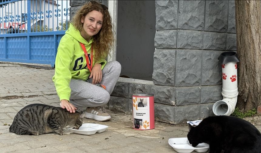 Pelin öğretmen 11 yıldır "çocuklarım" dediği kedileri besliyor