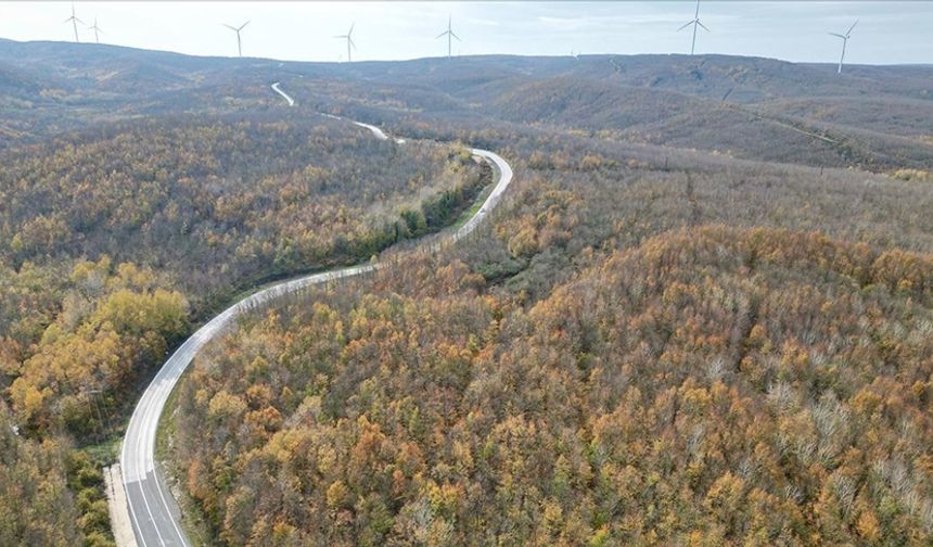 Tekirdağ'da ormanlar sonbahar renklerine büründü