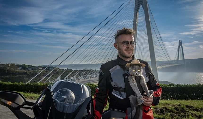 Motosikletli kedi "Gofret" İstanbul sokaklarında ilgi odağı oldu