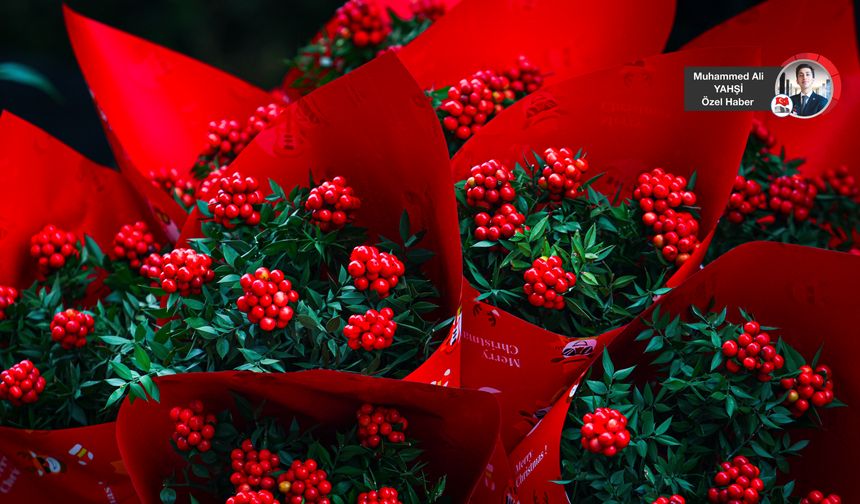 Yılbaşının Uğur Simgesi: Kokina