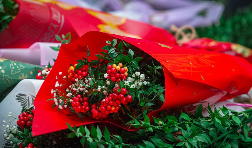 Yılbaşının Bolluk ve Bereket Simgesi: Kokina