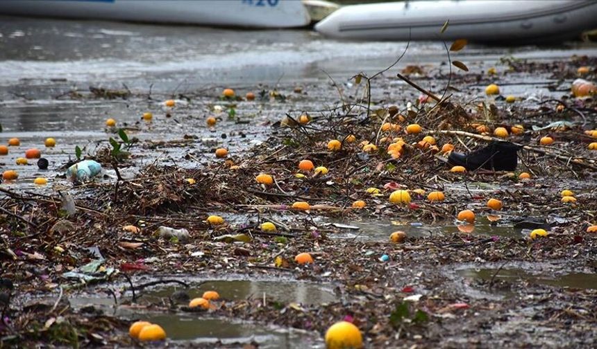 Bodrum'da yağmur suyuyla denize sürüklenen atıklar kıyıya vurdu