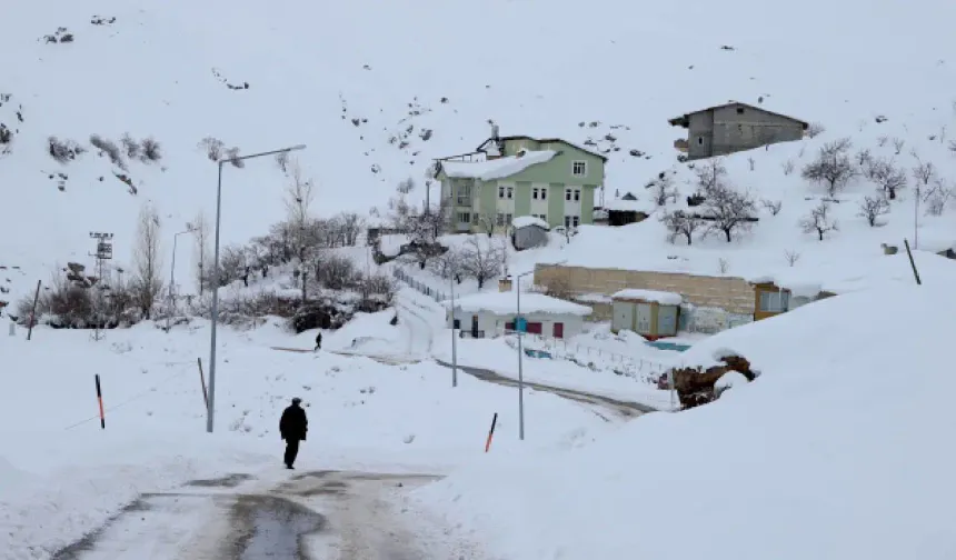 Şırnak’ta kardan 35 köy yolu kapandı, uçuşlar iptal edildi