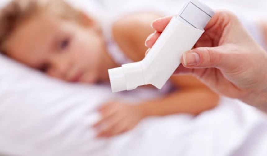 'Ev tozu akarı çocuklarda astımı tetikliyor'