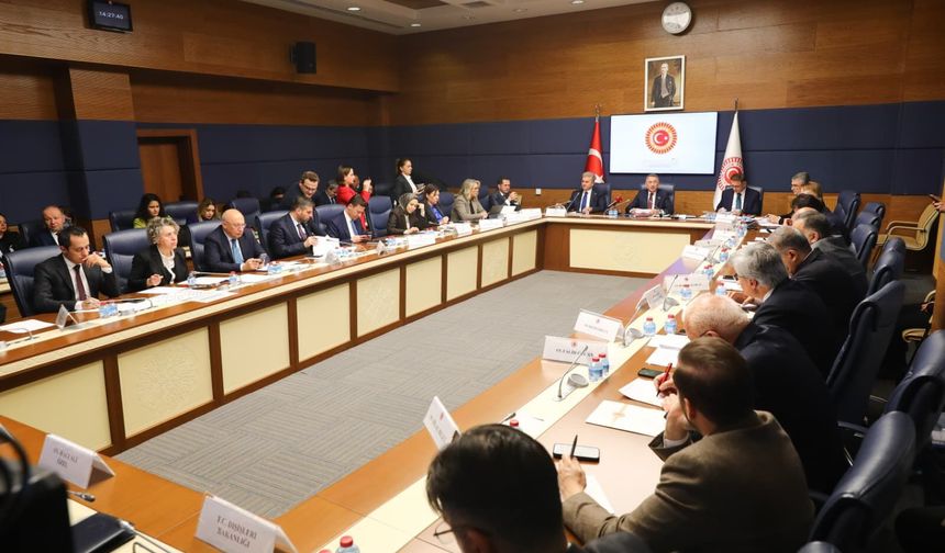 Fuat Oktay: SDG'ye düşen görev Suriye hükümeti ile entegrasyonu sağlamaktır