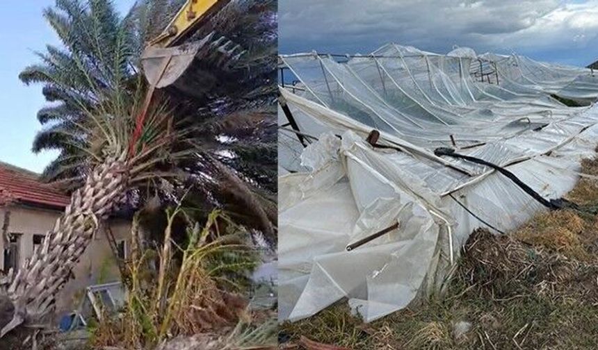 Kaş'ta fırtınadan seralar zarar gördü, ağaçlar devrildi