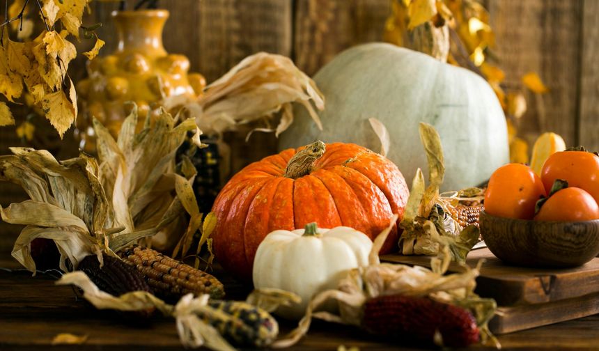 Balkabağının faydaları: Gözden kalbe vücuda şifa kaynağı