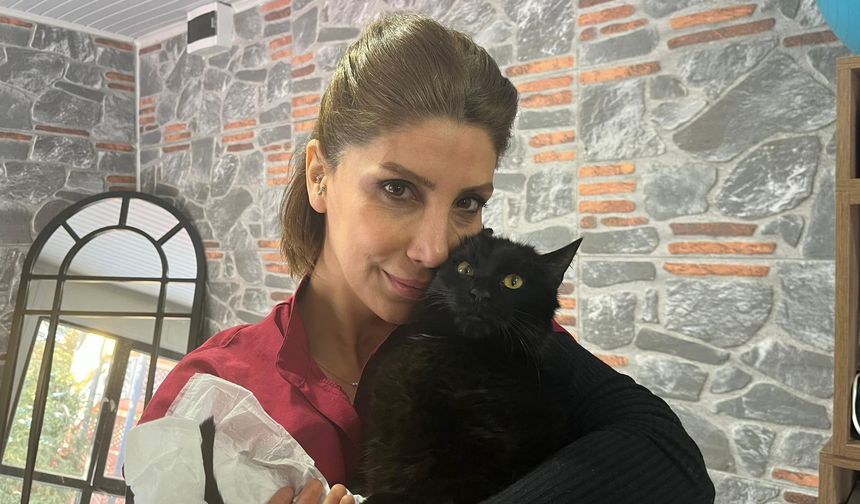 Sokağa terk edilen engelli kedi 'Bulut', tedaviye alındı