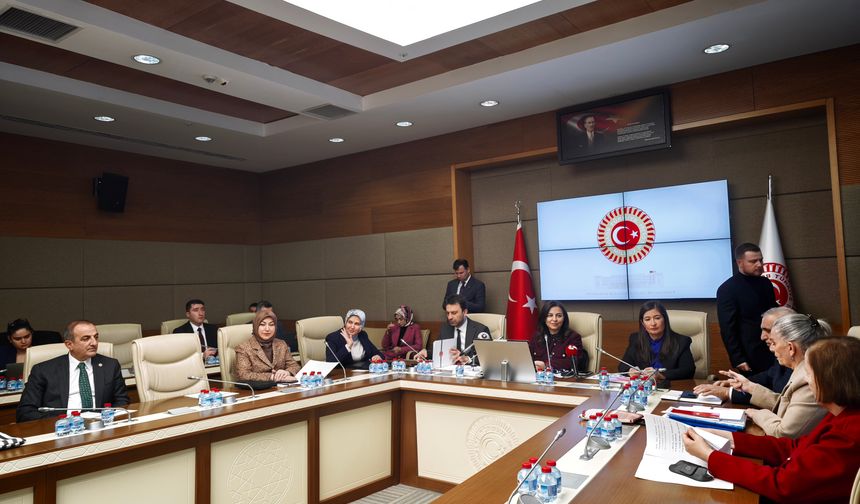 TBMM'de Suça Sürüklenen Çocuklara İlişkin Araştırma Komisyonu toplandı