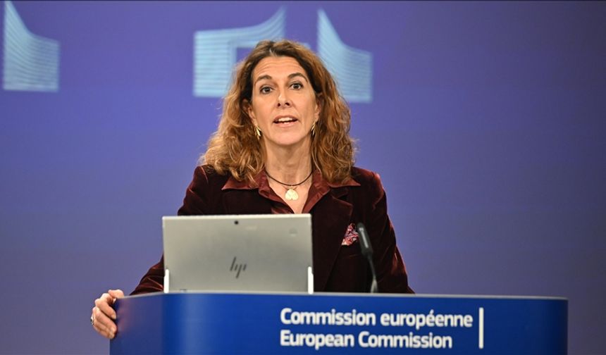 AB Komisyonu: Venezuela'yı Venezuelalılar yönetmeli