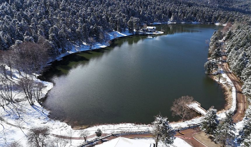 Gölcük Tabiat Parkı’ndaki mangal faaliyetleri, kanserojen madde birikimine neden oluyor