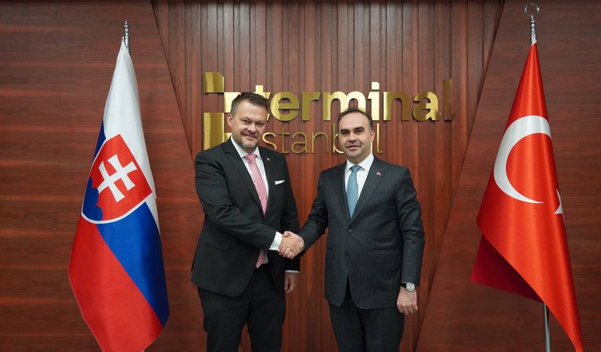 Slovakya ile teknoloji girişimciliği alanlarında işbirliği gündemde