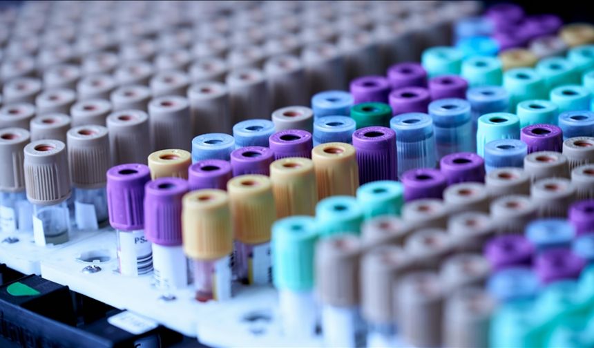 Evcil kedilerdeki kanser araştırmalarının, insanların tedavisinde umut olabileceği bildirildi