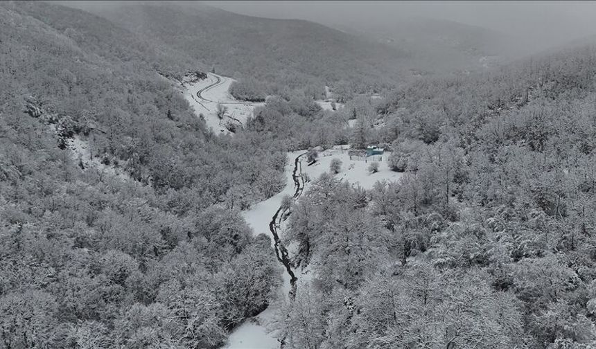 Tekirdağ'da karla kaplanan ormanlar güzel görüntü oluşturdu