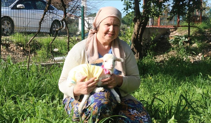 Yanından ayırmadığı kuzusunu parka da misafirliğe de götürüyor