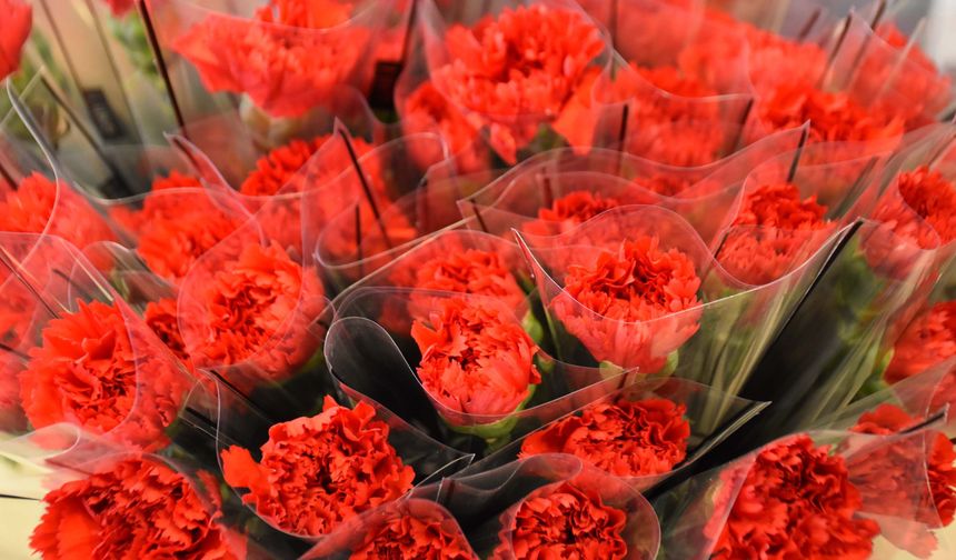 '8 Mart'ta kırmızı karanfil yoğun talep görüyor'