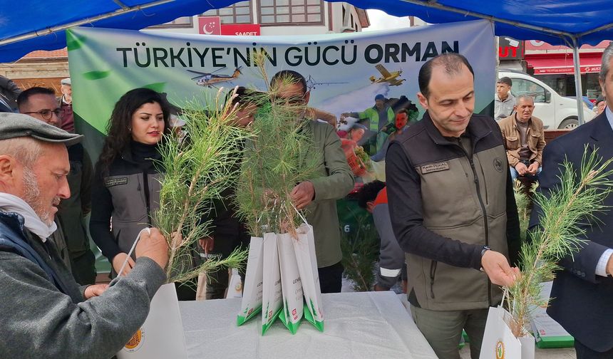 Beypazarı'da 1500 fidan dağıtıldı