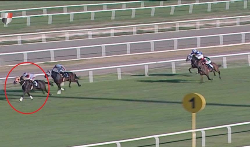 Yarış atı kavurma yapılan iş insanına da 132 bin TL ceza kesildi