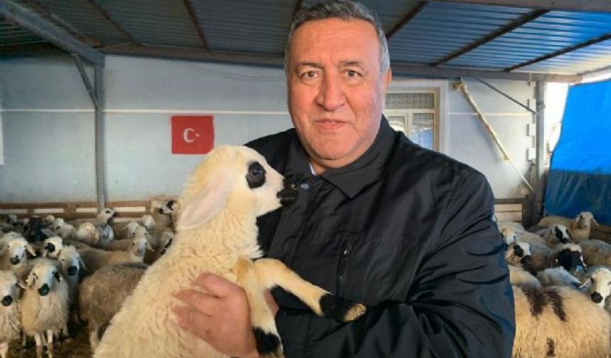 Gürer: “17 Bin Kilometre Öteden Et İthalatı”