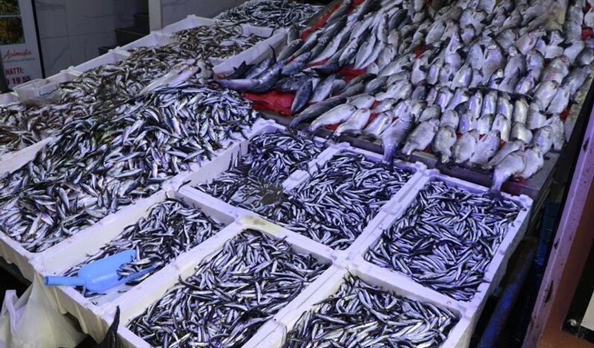 Ramazan ayı ve bayramda balık satışları düştü