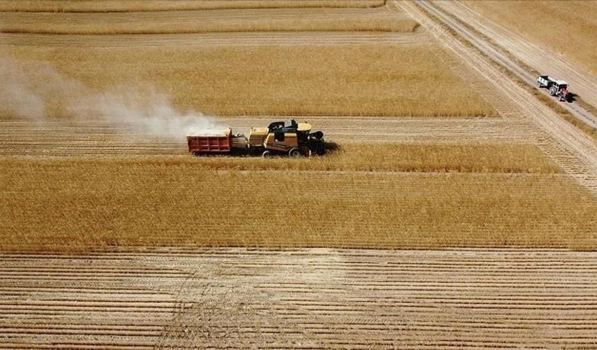 Çiftçilere 8,7 milyar lira tarımsal destekleme ödemesi bugün yapılacak